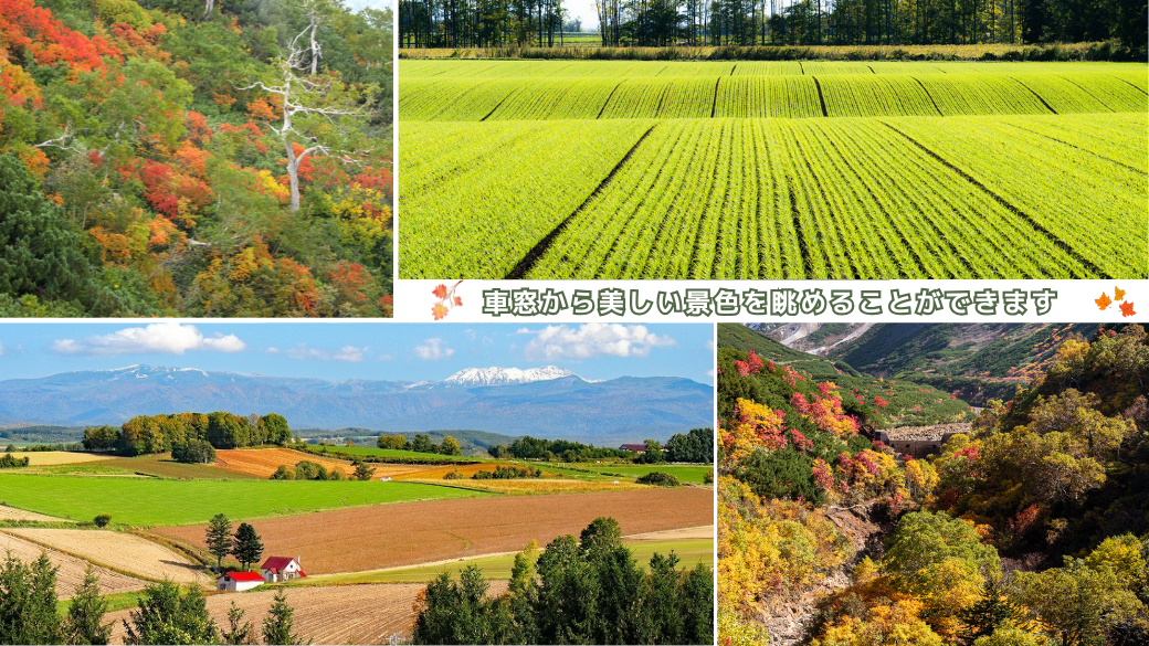 ひとめぐり号3