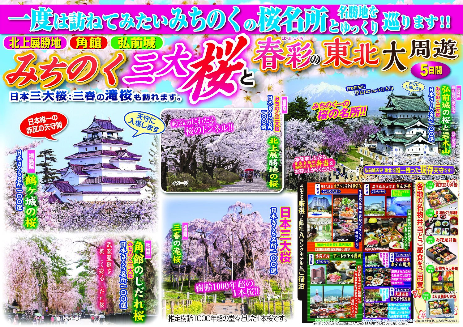 みちのく三大桜5日間 - 関西エリア