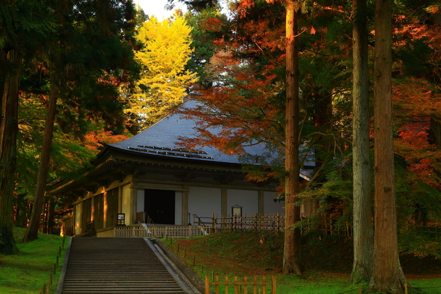 紅葉の中尊寺のイメージ