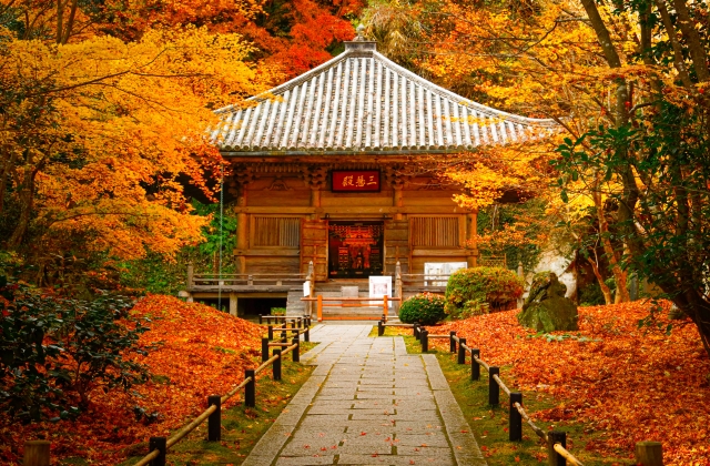 円通院の紅葉のイメージ