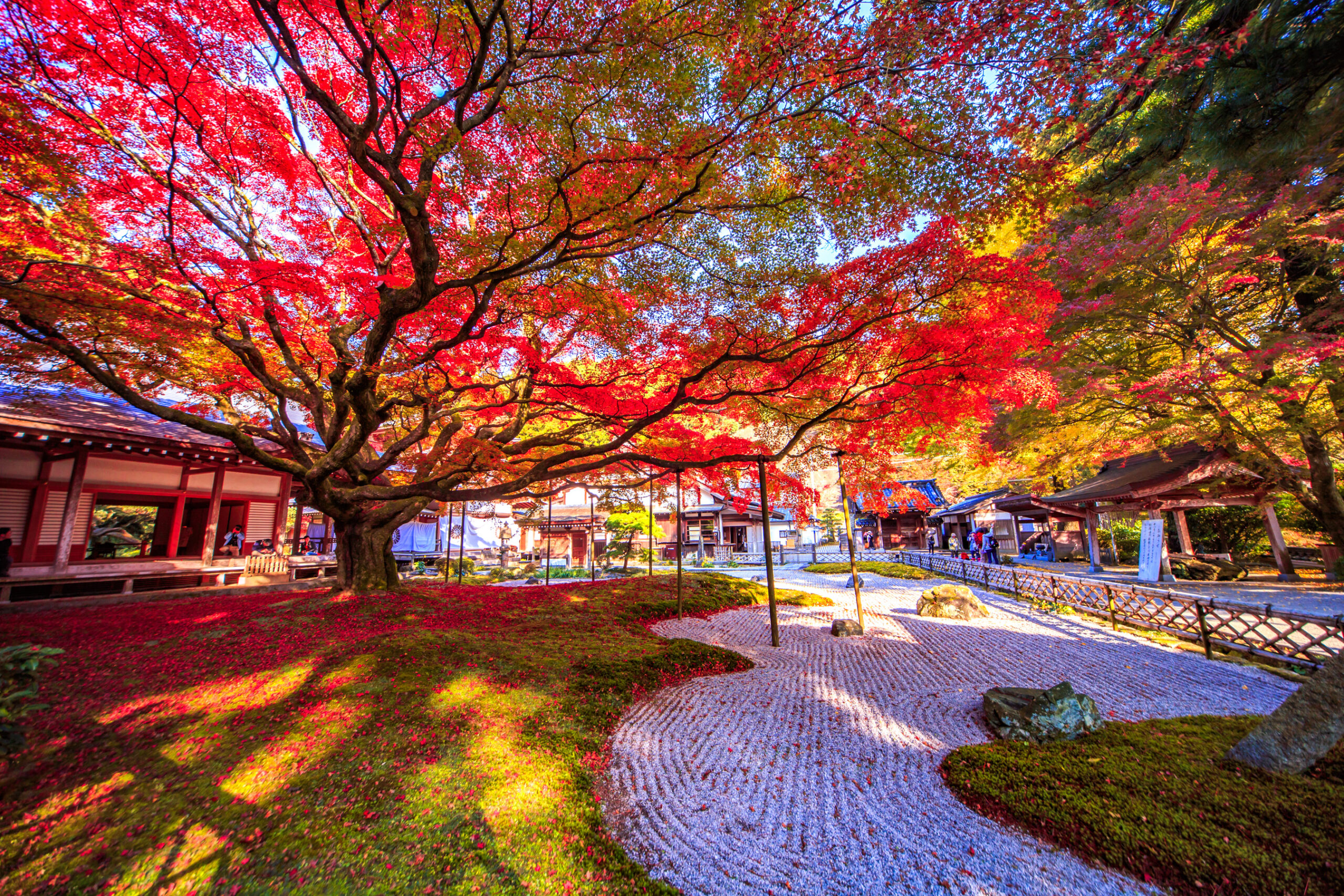 紅葉の雷山千如寺大悲王院のイメージ