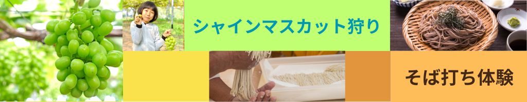 Aコース