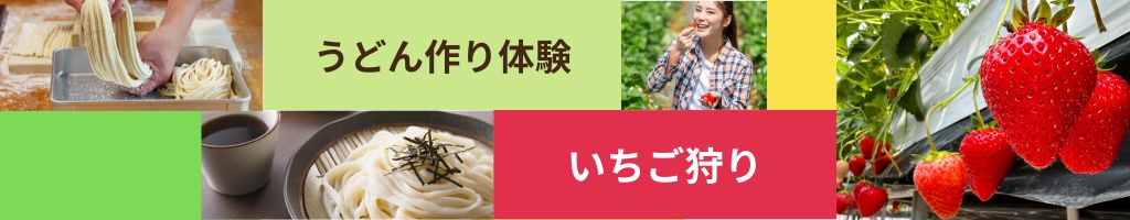 Dコース