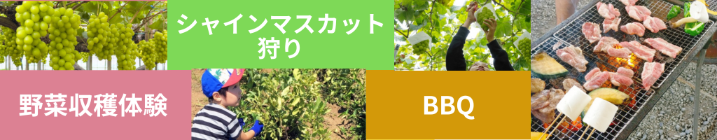 秩父シャインマスカット狩りと野菜収穫体験のイメージ