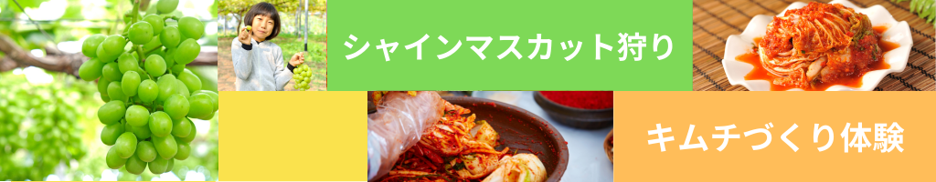 飯能市シャインマスカット1房狩りとキムチ作り体験のイメージ