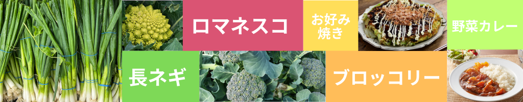美里町の長ねぎブロッコリーロマネスコ収穫体験のイメージ