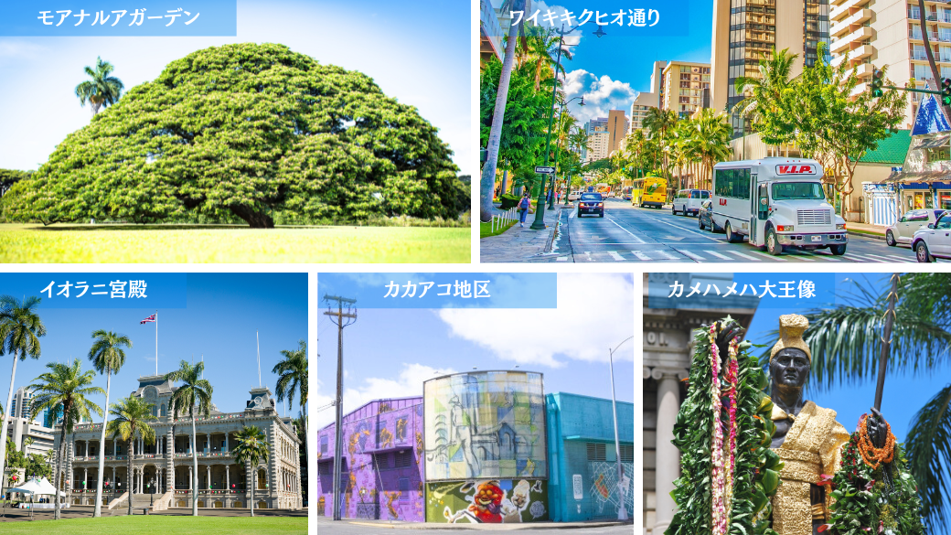 コース内容紹介