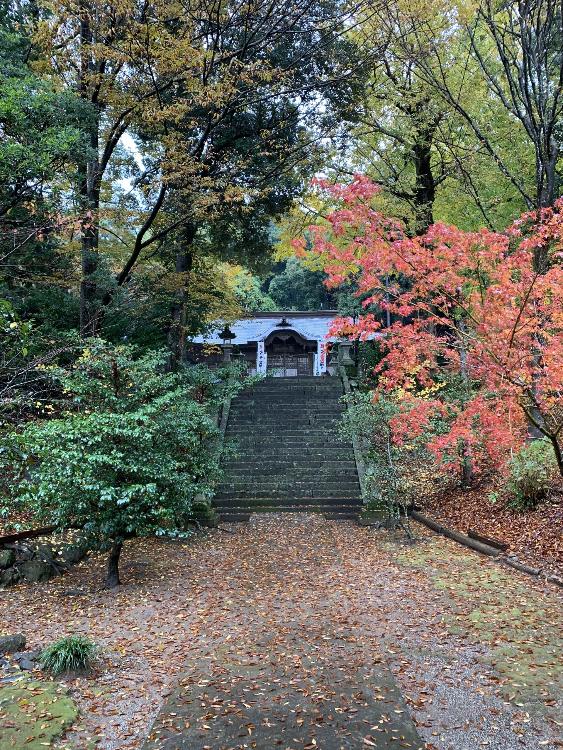 妻山神社の境内