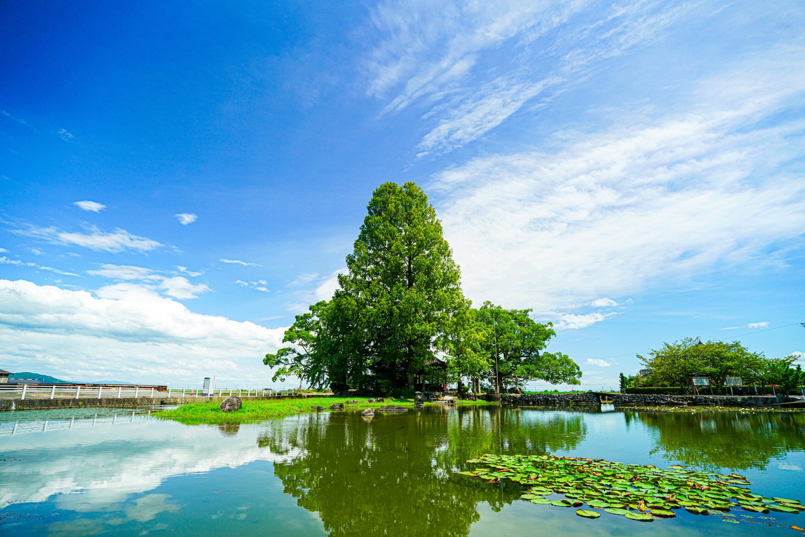 縫ノ池の風景