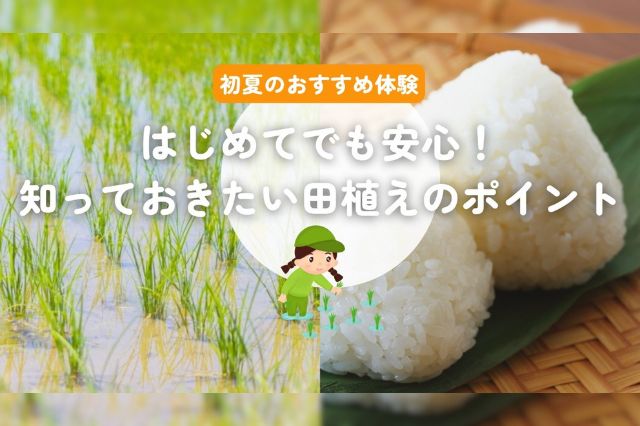  田植え見出し