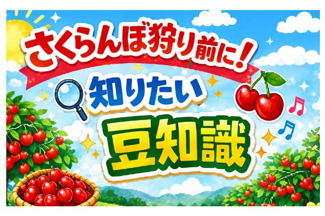 トップ