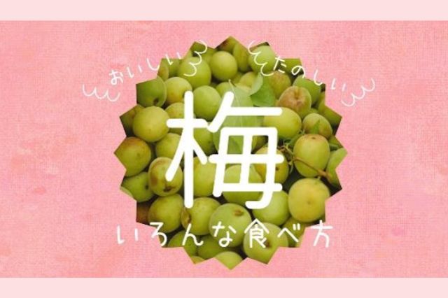  梅見出し