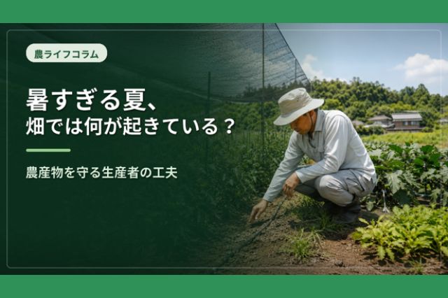  【農Life】コラム_本文差し込み画像3